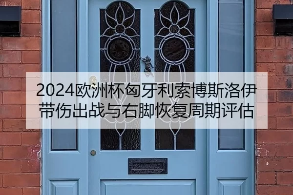 2024欧洲杯匈牙利索博斯洛伊带伤出战与右脚恢复周期评估