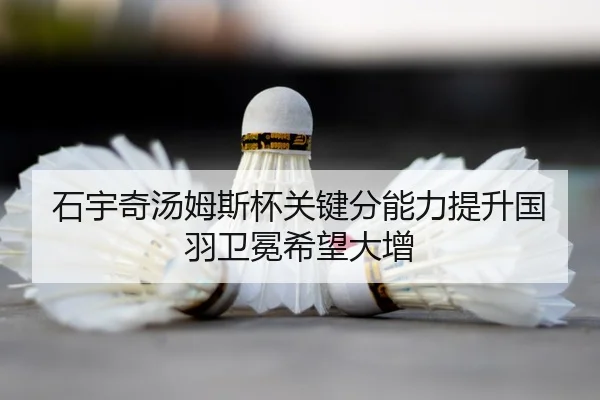shi-yu-qi-tang-mu-si-bei-guan-jian-fen-neng-li-ti-sheng-guo-yu-wei-mian-xi-wang-da-zeng-3-397.jpg