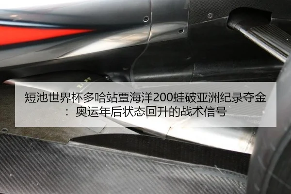 duan-chi-shi-jie-bei-duo-ha-zhan-tan-hai-yang-wa-po-ya-zhou-ji-lu-duo-jin-ao-yun-nian-hou-zhuang-tai-hui-sheng-de-zhan-3-732.jpg